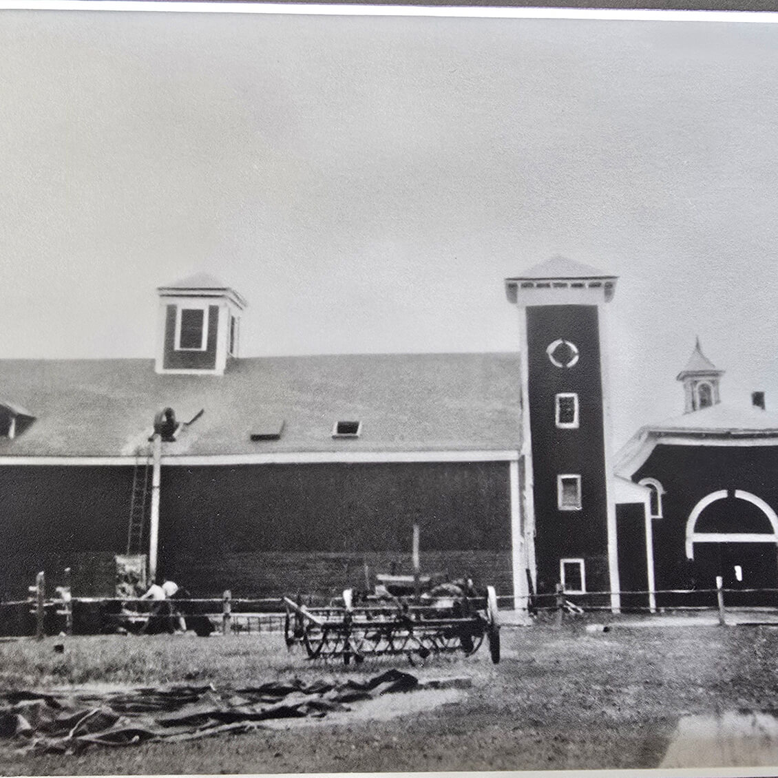 farm