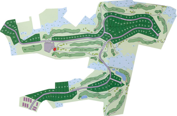 Course Overview