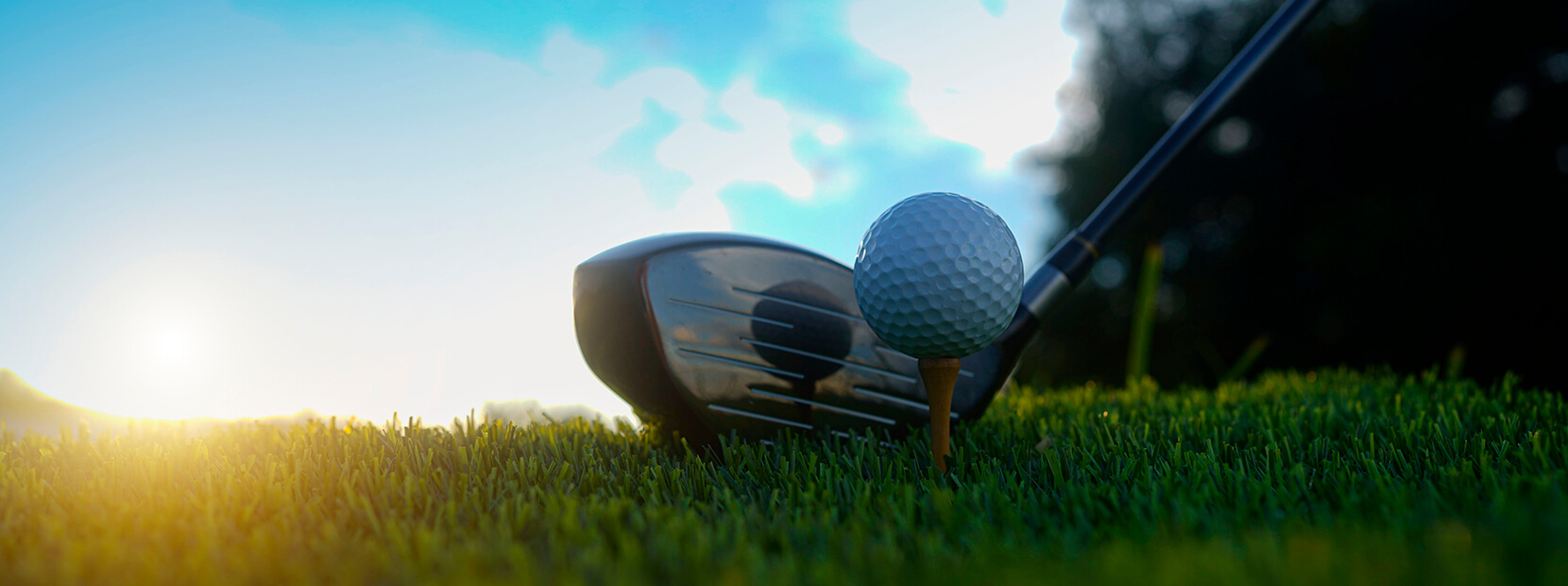 golf ball on tee
