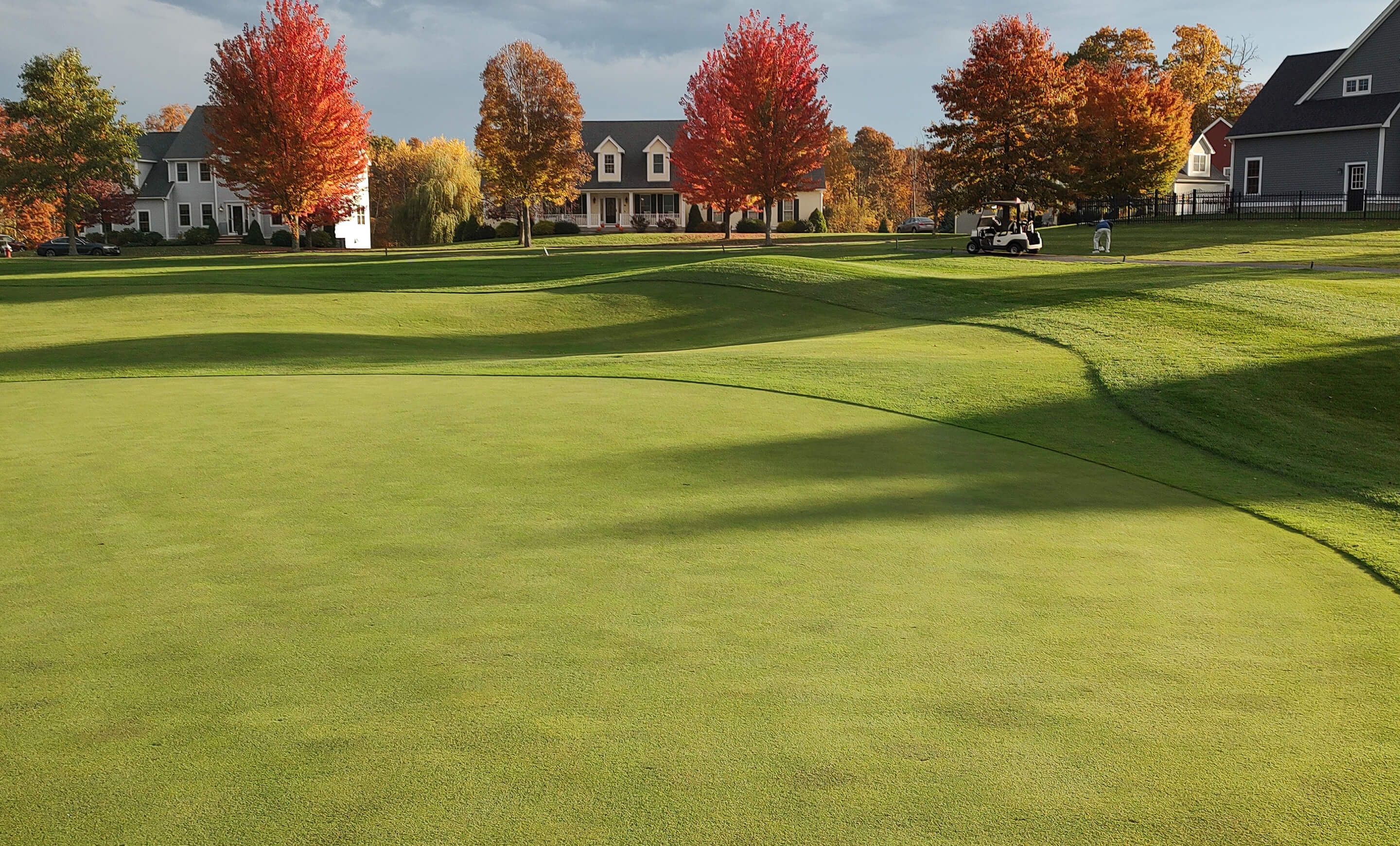 golf course and trees